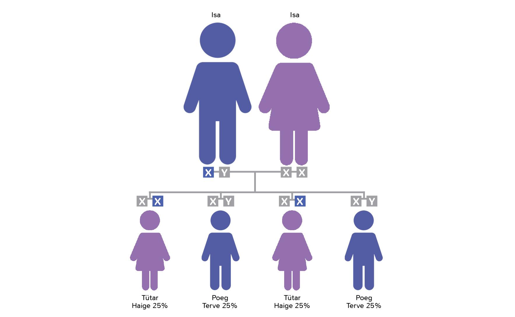 Pärilikkus Fabry haigusega meestel