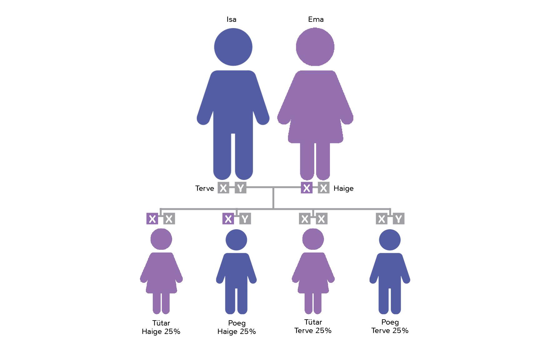 Pärilikkus Fabry haigusega naistel