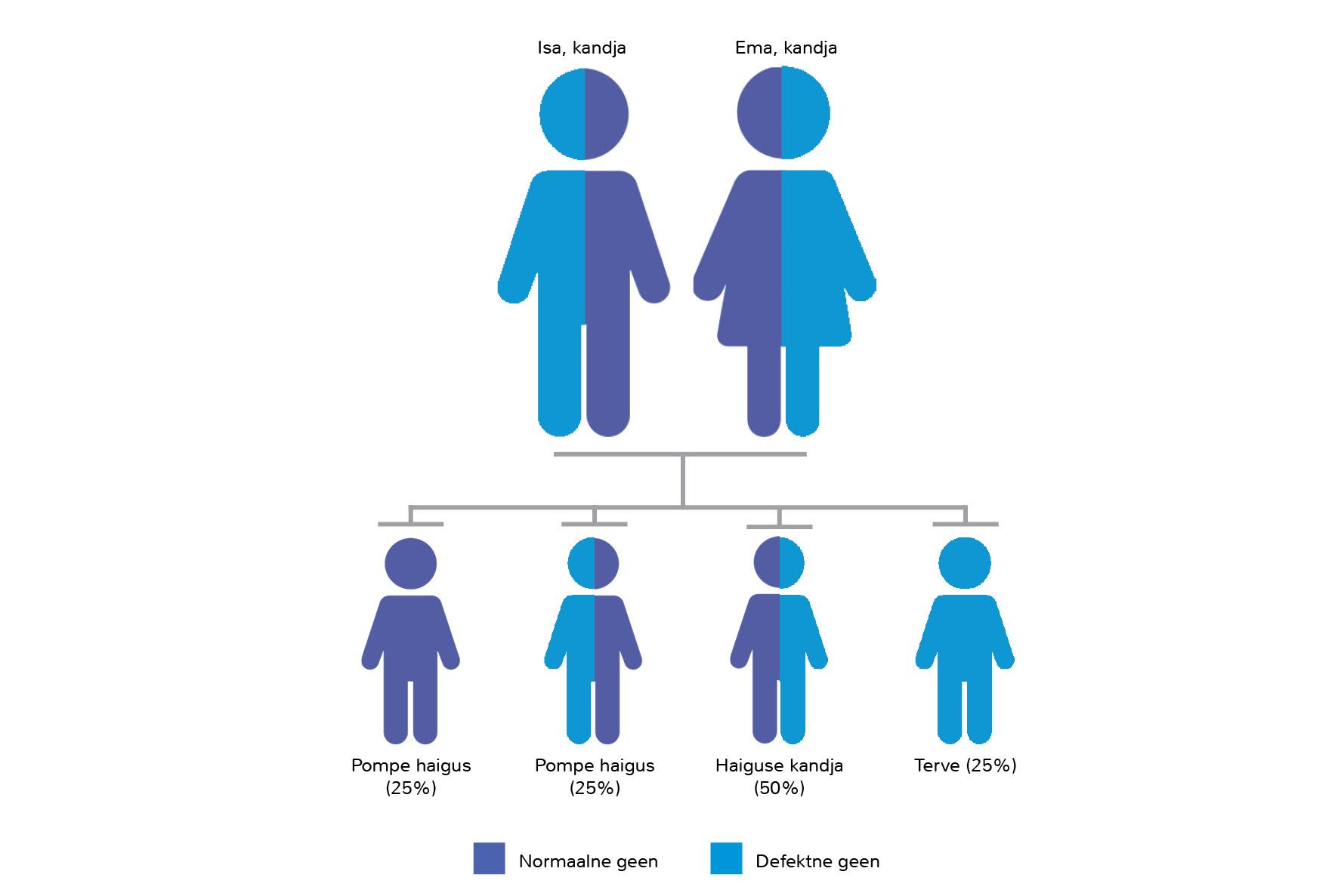 Pompe haigus on nn "autosoom-retsessiivne" pärilik haigus. 